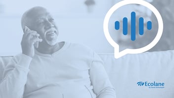 IVA (Intelligent Voice Assistant) 