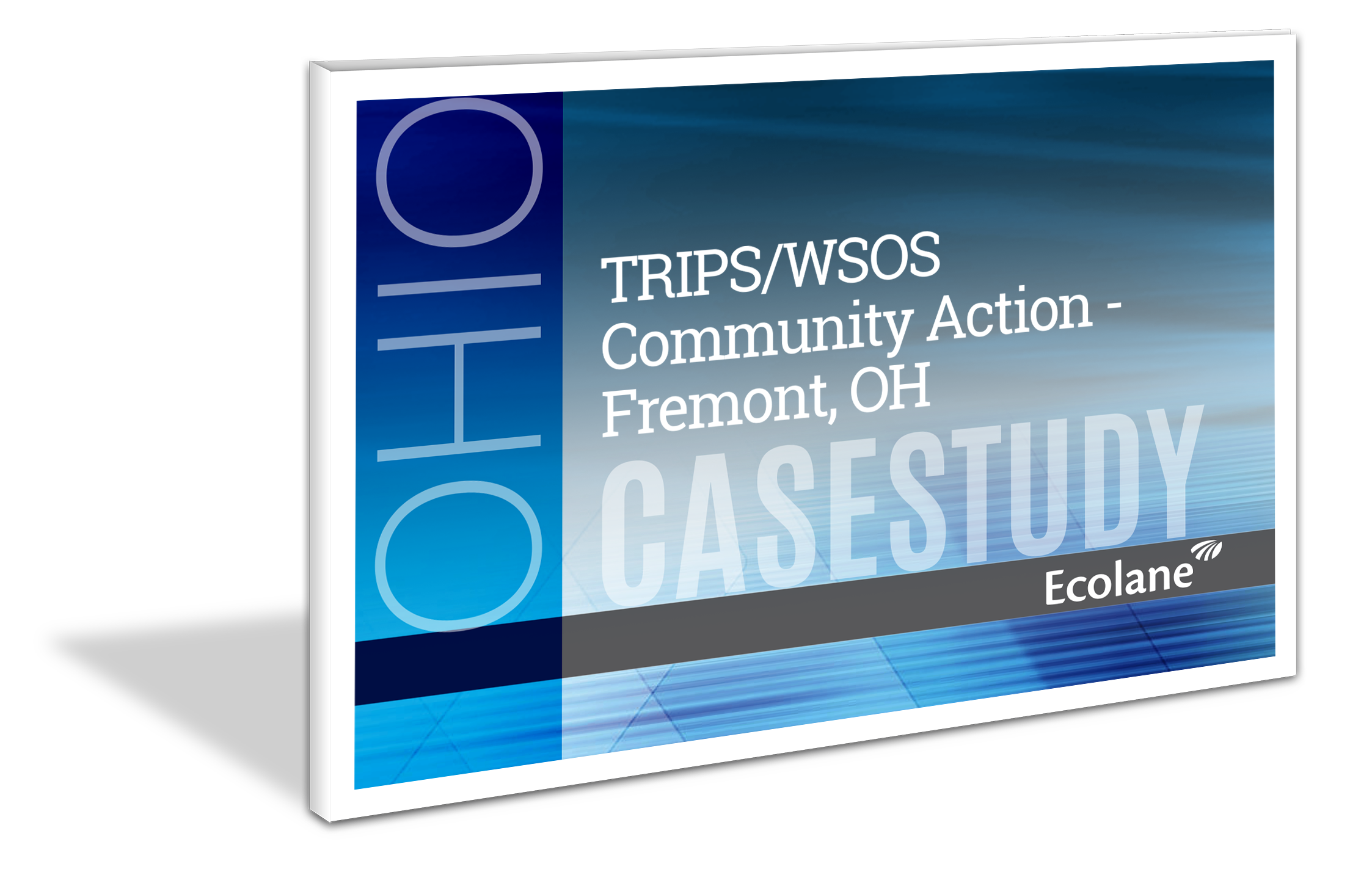 TRIPS/WSOS